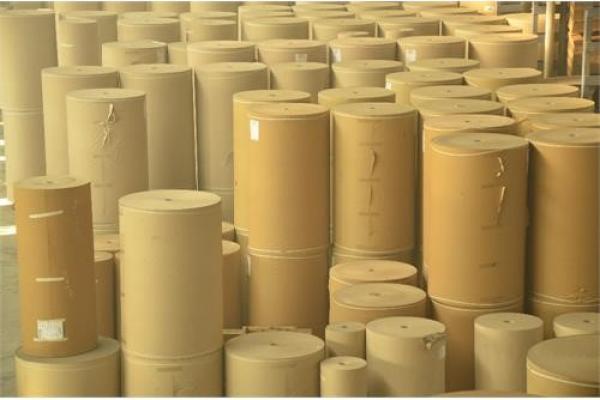 Testliner Paper - Brown, White - 100/250 gr/m2