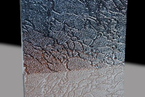 آینه مشجر درختی دکوراتیو | Decorative Tree Trunk Mirror